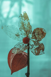 Similar image 22318334