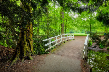 Similar image 22322859