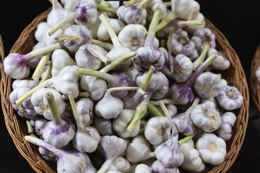 Similar image 22331625