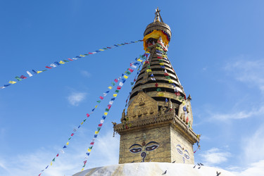 Similar image 22318609