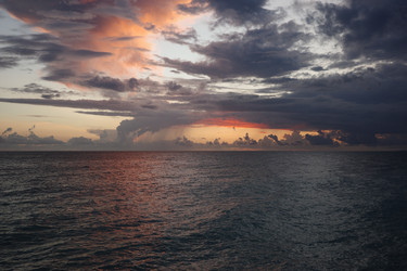 Similar image 22319759