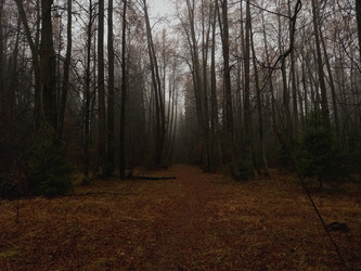 Similar image 22319760