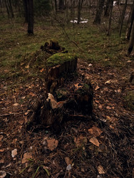 Similar image 22321057