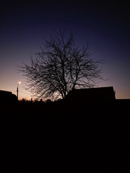 Similar image 22321058