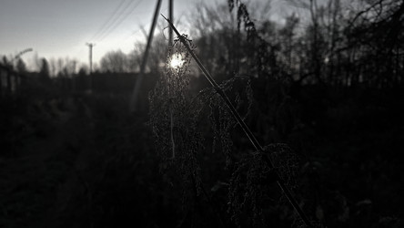 Similar image 22318619