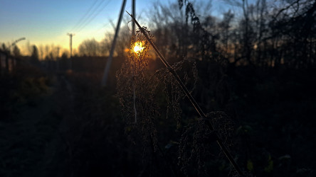 Similar image 22318620