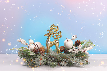 Similar image 22327049