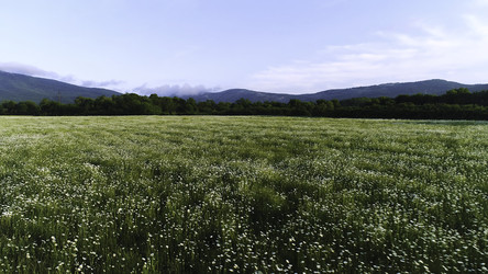 Similar image 22325690