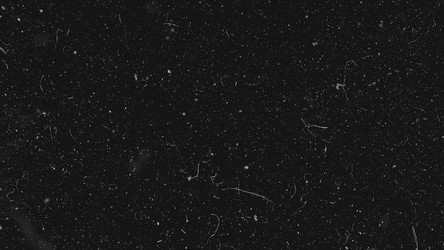 Similar image 22325692