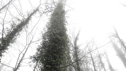 Similar image 22325694