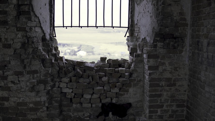 Similar image 22325698