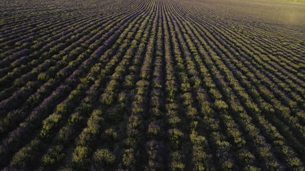 Similar image 22325879