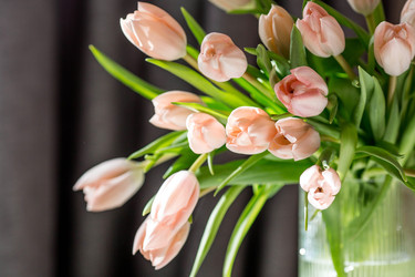 Similar image 22332827