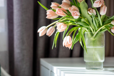 Similar image 22332829