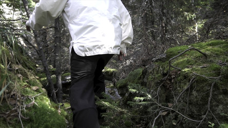 Similar image 22326296