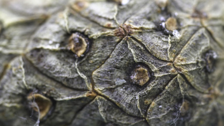 Similar image 22326302