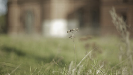 Similar image 22326315