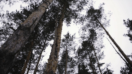 Similar image 22326323