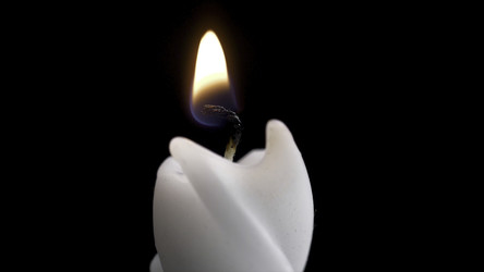 Similar image 22326329