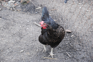 Similar image 22319765