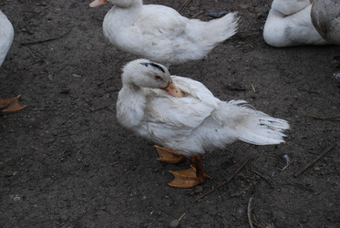 Similar image 22319767