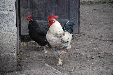 Similar image 22319769