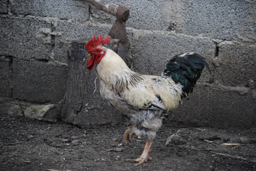 Similar image 22319770