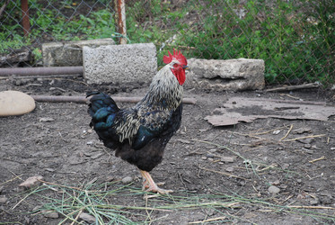 Similar image 22319771