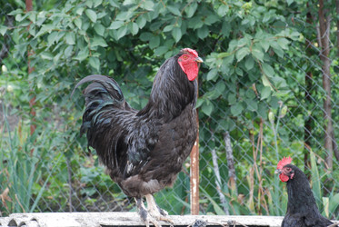 Similar image 22319772