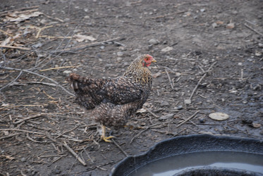 Similar image 22319773