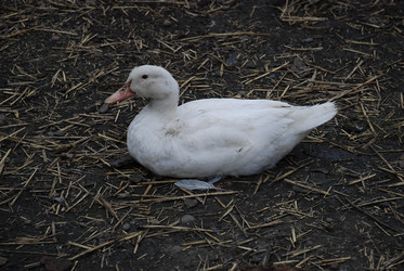 Similar image 22319774