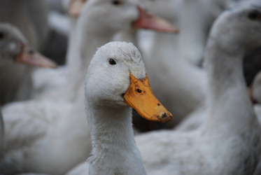 Similar image 22319778