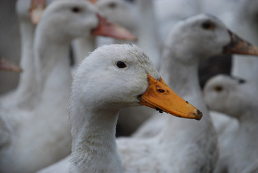 Similar image 22319779