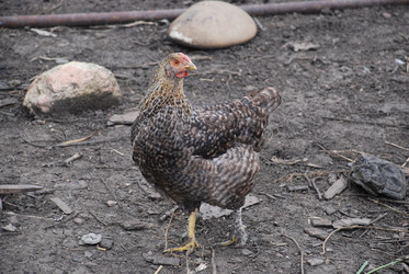 Similar image 22319781