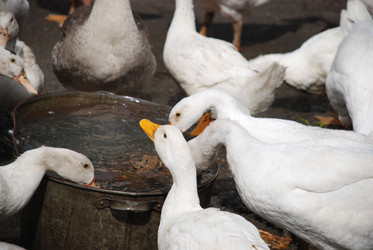 Similar image 22319786