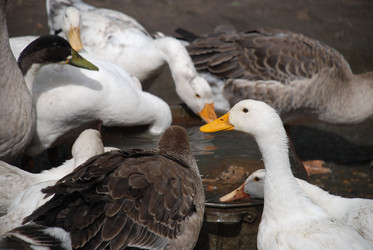 Similar image 22319790