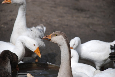 Similar image 22319791