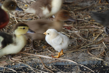 Similar image 22319794