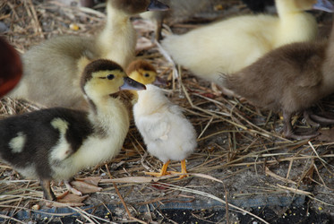 Similar image 22319795