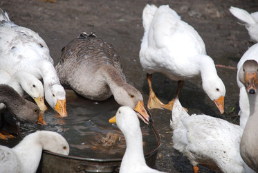 Similar image 22319797