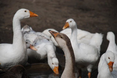 Similar image 22319798