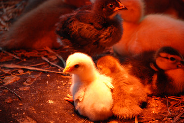 Similar image 22320119