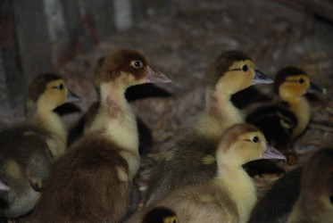 Similar image 22320120