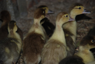 Similar image 22320125