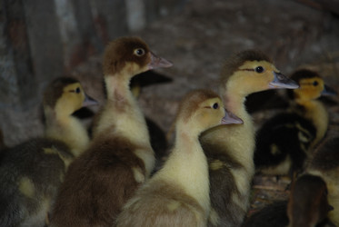 Similar image 22320126