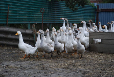 Similar image 22320127