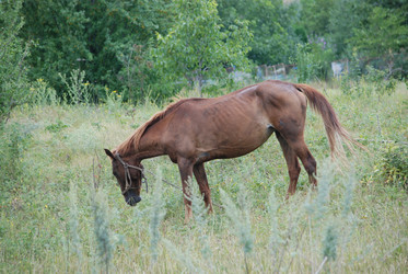 Similar image 22320128