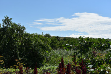 Similar image 22320129