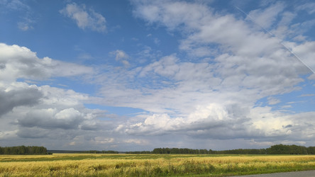 Similar image 22321683