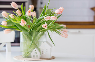 Similar image 22332849